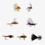 Basic Trout Assortment